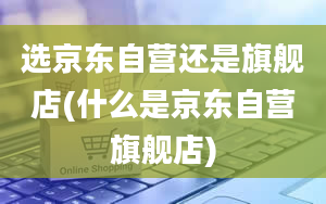 选京东自营还是旗舰店(什么是京东自营旗舰店)