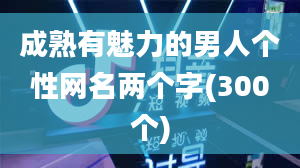 成熟有魅力的男人个性网名两个字(300个)