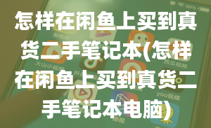 怎样在闲鱼上买到真货二手笔记本(怎样在闲鱼上买到真货二手笔记本电脑)