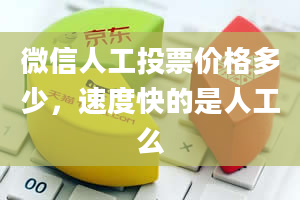 微信人工投票价格多少，速度快的是人工么