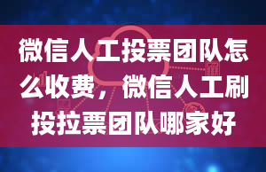 微信人工投票团队怎么收费，微信人工刷投拉票团队哪家好