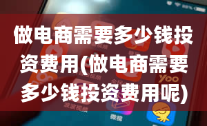 做电商需要多少钱投资费用(做电商需要多少钱投资费用呢)