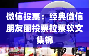 微信投票：经典微信朋友圈投票拉票软文集锦