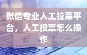 微信专业人工拉票平台，人工投票怎么操作