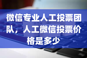 微信专业人工投票团队，人工微信投票价格是多少