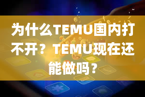 为什么TEMU国内打不开？TEMU现在还能做吗？