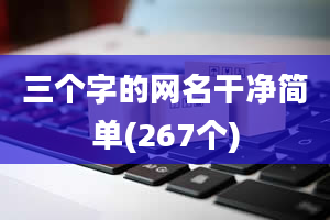 三个字的网名干净简单(267个)