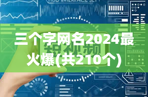 三个字网名2024最火爆(共210个)