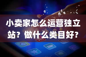 小卖家怎么运营独立站？做什么类目好？