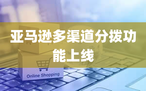 亚马逊多渠道分拨功能上线