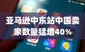 亚马逊中东站中国卖家数量猛增40%