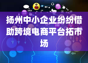 扬州中小企业纷纷借助跨境电商平台拓市场