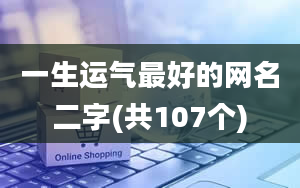 一生运气最好的网名二字(共107个)