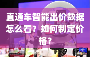 直通车智能出价数据怎么看？如何制定价格？