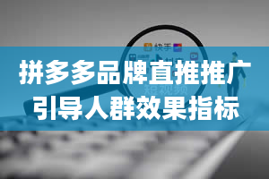 拼多多品牌直推推广引导人群效果指标