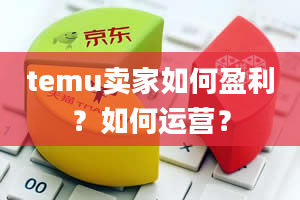 temu卖家如何盈利？如何运营？