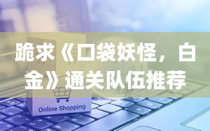 跪求《口袋妖怪，白金》通关队伍推荐