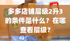 多多店铺层级2升3的条件是什么？在哪查看层级？