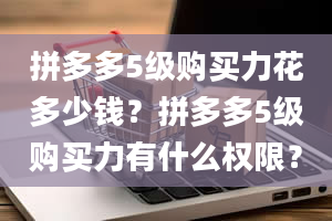 拼多多5级购买力花多少钱？拼多多5级购买力有什么权限？