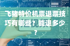 飞猪特价机票退票技巧有哪些？能退多少？