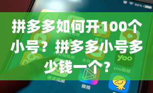 拼多多如何开100个小号？拼多多小号多少钱一个？