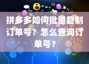 拼多多如何批量复制订单号？怎么查询订单号？