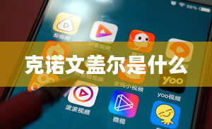 克诺文盖尔是什么