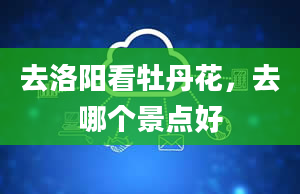 去洛阳看牡丹花，去哪个景点好