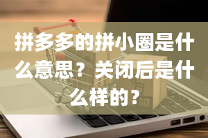 拼多多的拼小圈是什么意思？关闭后是什么样的？