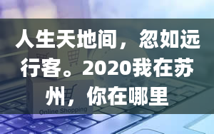 人生天地间，忽如远行客。2020我在苏州，你在哪里