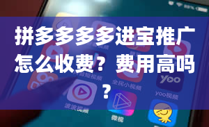 拼多多多多进宝推广怎么收费？费用高吗？