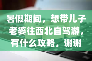 暑假期间，想带儿子老婆往西北自驾游，有什么攻略，谢谢