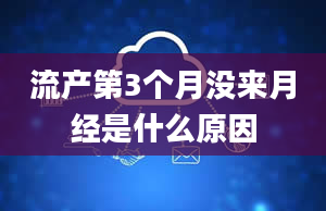 流产第3个月没来月经是什么原因