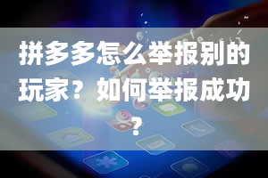 拼多多怎么举报别的玩家？如何举报成功？