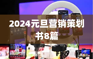 2024元旦营销策划书8篇