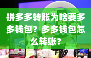 拼多多转账为啥要多多钱包？多多钱包怎么转账？