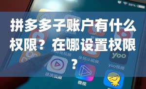 拼多多子账户有什么权限？在哪设置权限？