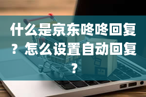 什么是京东咚咚回复？怎么设置自动回复？