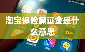 淘宝保险保证金是什么意思