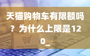 天猫购物车有限额吗？为什么上限是120_