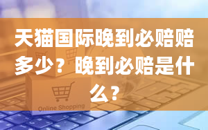 天猫国际晚到必赔赔多少？晚到必赔是什么？