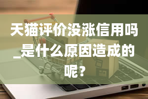 天猫评价没涨信用吗_是什么原因造成的呢？