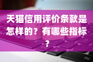 天猫信用评价条款是怎样的？有哪些指标？