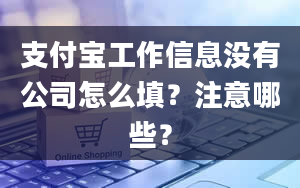 支付宝工作信息没有公司怎么填？注意哪些？