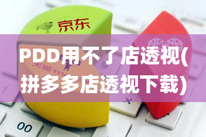 PDD用不了店透视(拼多多店透视下载)