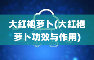 大红袍萝卜(大红袍萝卜功效与作用)