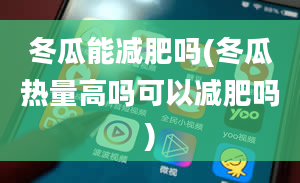 冬瓜能减肥吗(冬瓜热量高吗可以减肥吗)