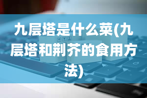 九层塔是什么菜(九层塔和荆芥的食用方法)