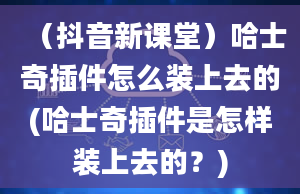 （抖音新课堂）哈士奇插件怎么装上去的(哈士奇插件是怎样装上去的？)