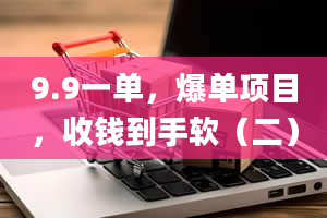 9.9一单，爆单项目，收钱到手软（二）